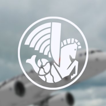 Ro aviation virtual airline that operates on roblox.

You can find the discord invite link below.