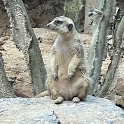 xmilkenx's profile picture. 