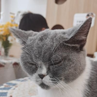 vv8546461357865's profile picture. 