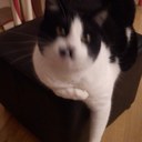 Michelle Lambeth - @melylambeth - Twitter