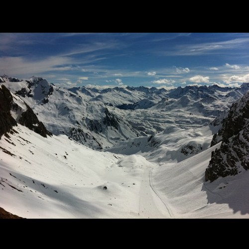 squeezynow's profile picture. 