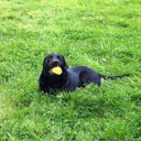 Vicky Bates - @batesv - Twitter