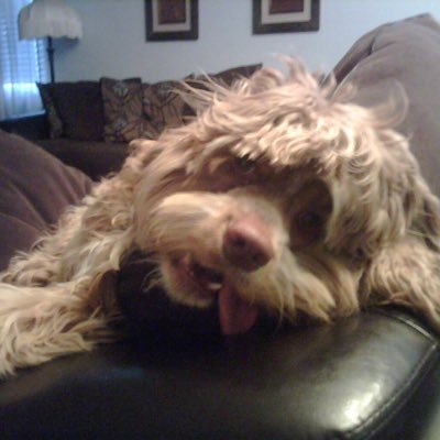 _HaleyAlexis_'s profile picture. 
