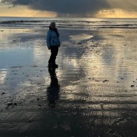 Imelda Redmond (@redmond_imelda) 's Twitter Profile