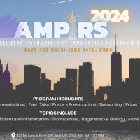 AMPIRS2024 (@ampirsnyu) 's Twitter Profile Photo AMPIRS2024 (@ampirsnyu) 's Twitter Profile Photo