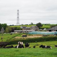 Trenance Dairy (@katehoare6) 's Twitter Profile