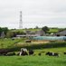 Trenance Dairy (@katehoare6) Twitter profile photo Trenance Dairy (@katehoare6) Twitter profile photo