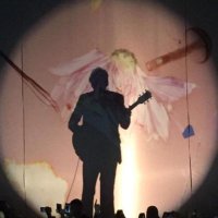 ella. (@inharryhouse) 's Twitter Profile