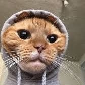 zatakou01's profile picture. 