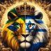 Tom Br (@thomasarraial) Twitter profile photo Tom Br (@thomasarraial) Twitter profile photo