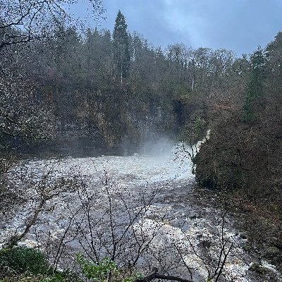 Michael85033679's profile picture. Crypto enthusiast