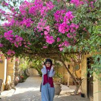 Yomna A.Moqidem (@yomna_moqidem) 's Twitter Profile