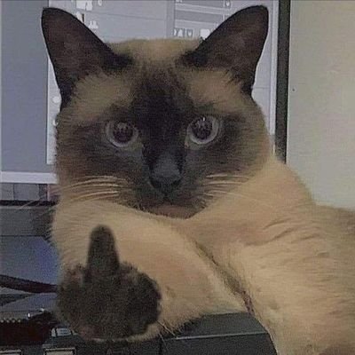 FMoridi47024's profile picture. 