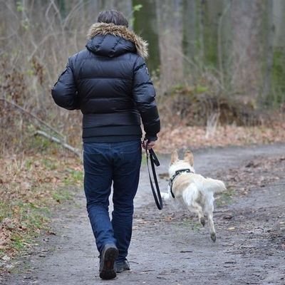 Я і друзів розумів і на знищення ворогів донатив,
Бо хрещений батько мій — то Хрещатик, то Хрещатик