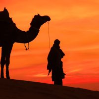 🌹زائرة من المستقبل🌵 (@m3zooft) 's Twitter Profile