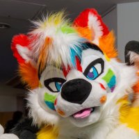Rubix! (@rubixhusky) 's Twitter Profile