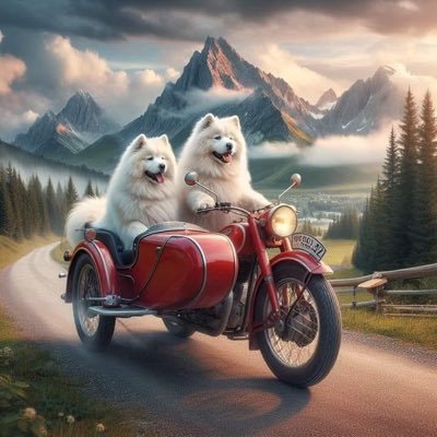 BKD_MAGA_Nebr's profile picture. Blessed by God born an American with parents who taught me I could achieve my dreams if I studied, worked hard, and loved/respected family, God, country