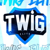 TWIG ELITE (@twig_oficial) 's Twitter Profile
