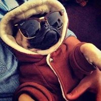 retweet master (@retweetmasterus) 's Twitter Profile