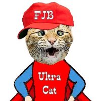 Ultra Cat(@MrTruth_199) 's Twitter Profile Photo