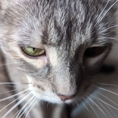 I love my cats, and you should too.
https://t.co/I3qYTPXybi
https://t.co/SAvEoMJMeU
https://t.co/VHkL7EY7gA
https://t.co/SJmrmfpyAm