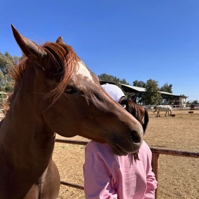 Ana_Gabriela06's profile picture. Mexicana 🇲🇽 
Jalisciense🫀
💜 Astro
💙 Cha Eun Woo
💜 BTS
KPOP LOVER.
KDRAMA / CDRAMA