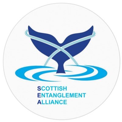 Scottish Entanglement Alliance (SEA) 🐋🏴󠁧󠁢󠁳󠁣󠁴󠁿🐬