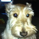 Candice Lively - @lively1120 - Twitter