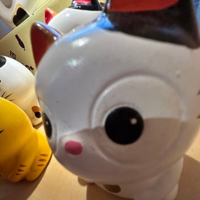 dimsさんのプロフィール画像