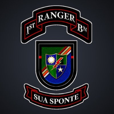 1stRBMilsim_'s profile picture. We are an Arma Reforger Community Milsim, please checkout our other media platforms and join us!