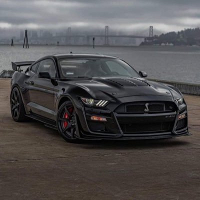 Posting every day until I can buy a Shelby GT500💪💪 PayPal and more links for donations!! ☺️☺️