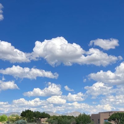 emilysliggett's profile picture. Jayhawk living in Boston. Defense wins championships!