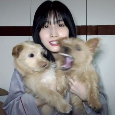 reixwtz's profile picture. Sí tenemos bias en común yo la amo más.🤗☝️