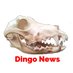 Dingo.News Profile picture