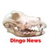Dingo.News (@dingonews1) Twitter profile photo Dingo.News (@dingonews1) Twitter profile photo