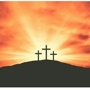 FSeckan36285's profile picture. 