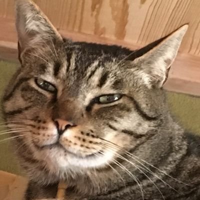 mADtevDNnT37964's profile picture. かけだしWebデザイナーの勉強用アカウントです！
Photoshop/Illustrator/Figma
素敵な情報拝見したらフォローさせていただいてます🙇