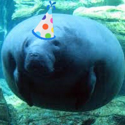 Im 18 now :D

Manatee-pilled

We love Lajoie, watermelon, and yaoi here