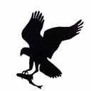 David Weber - @davidgir123 - Twitter