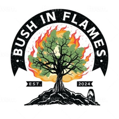 BushInFlames Profile Picture