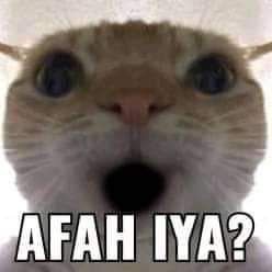 grow_up23's profile picture. doain lulus