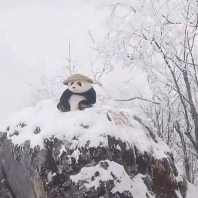 yoonchls's profile picture. Bos Nyc Seoul