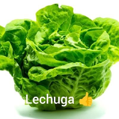 Lechuga 👍