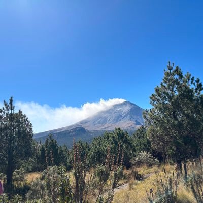 mamitatuitera's profile picture. Polvo de estrellas.