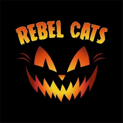 Cuenta oficial de Vince y Rebel Cats. Booking: mimissolis.f@gmail.com