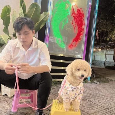 BaoNguyen5198's profile picture. 