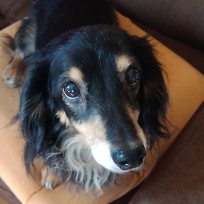 lowcode_app's profile picture. 