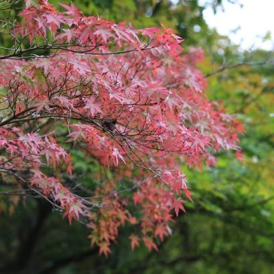 春からOMU 大学垢 工 都市