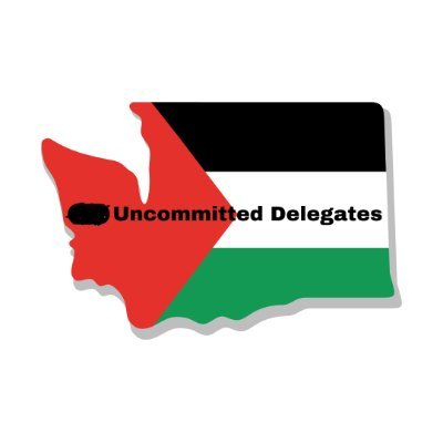 Make your vote COUNT, Washington, CHECK YOUR BALLOTS! We are a Palestinian-led, multi-faith, anti-war coalition leading the charge in WA.