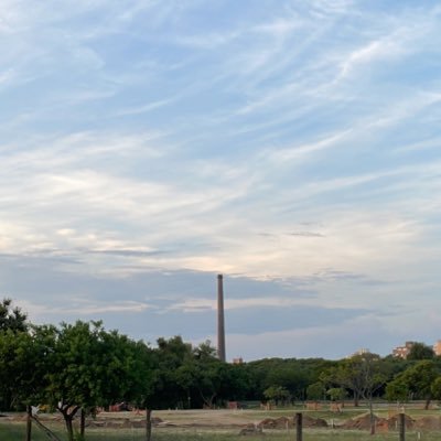 momottaalex's profile picture. 